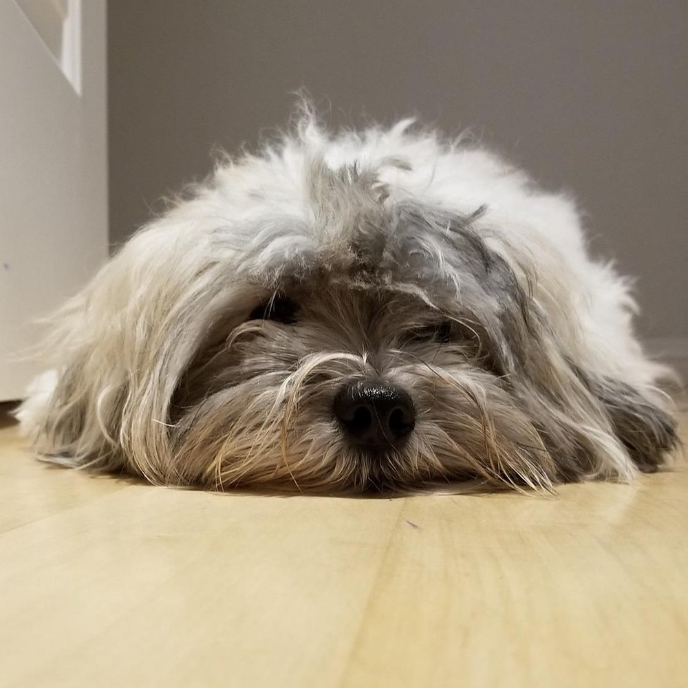 Meet your Posher, Danielle